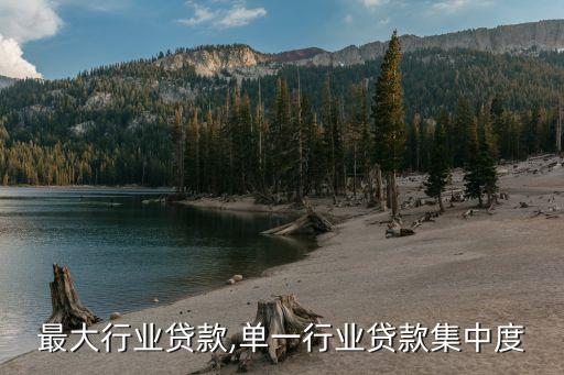 单一最大行业贷款,单一行业贷款集中度