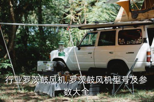 造纸行业罗茨鼓风机,罗茨鼓风机型号及参数大全