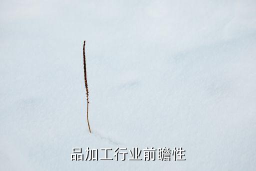 肉食品加工行业前瞻性