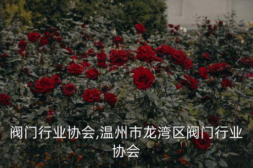 成都阀门行业协会,温州市龙湾区阀门行业协会
