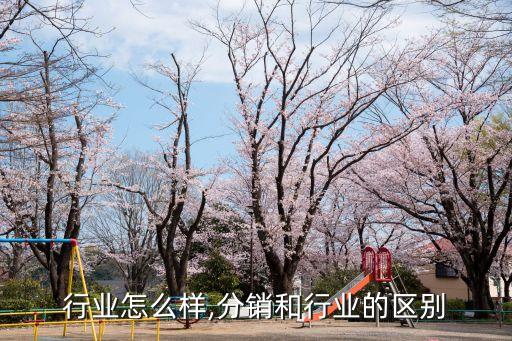 分销行业怎么样,分销和行业的区别