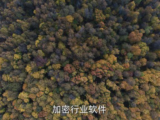 信息加密行业软件