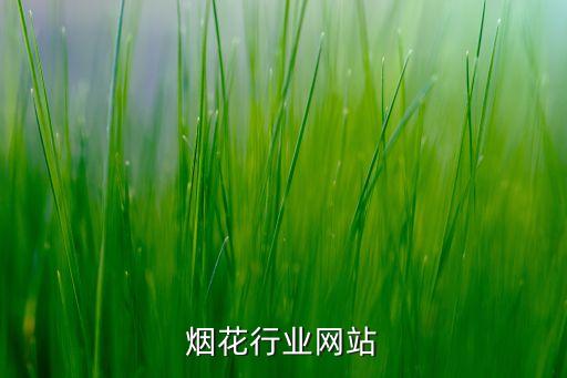 浏阳烟花行业网站