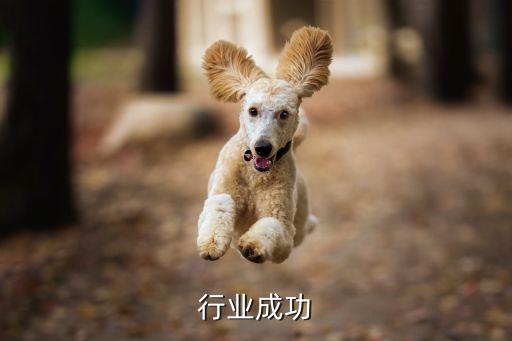母婴行业成功