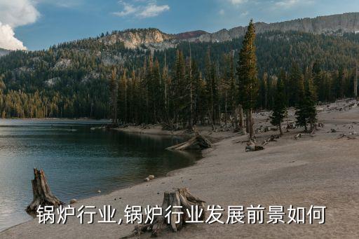 水泥 锅炉行业,锅炉行业发展前景如何