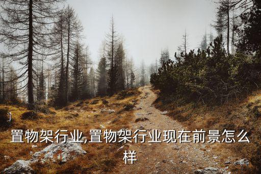 五金置物架行业,置物架行业现在前景怎么样