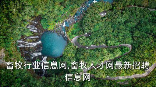 山东畜牧行业信息网,畜牧人才网最新招聘信息网