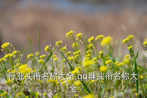 美容行业头衔名称大全,qq群头衔名称大全