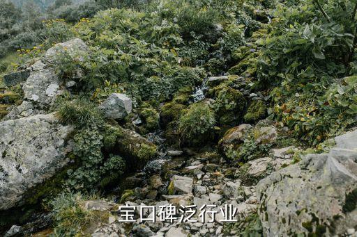 支付宝口碑泛行业