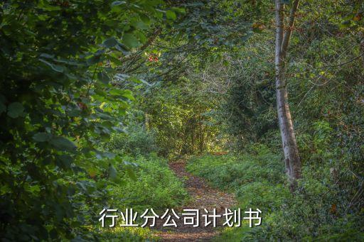电梯行业分公司计划书