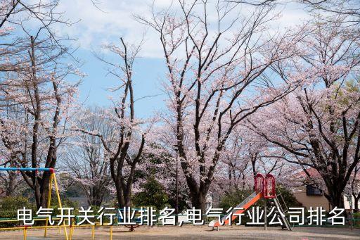 全国电气开关行业排名,电气行业公司排名