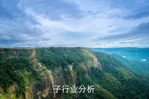 微电子行业分析