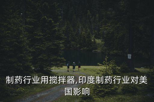 美国制药行业用搅拌器,印度制药行业对美国影响