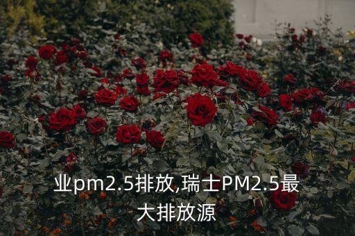 各行业pm2.5排放,瑞士PM2.5最大排放源