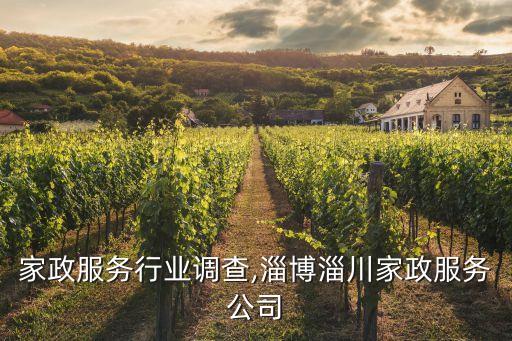 淄川家政服务行业调查,淄博淄川家政服务公司