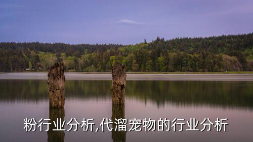 代餐粉行业分析,代溜宠物的行业分析