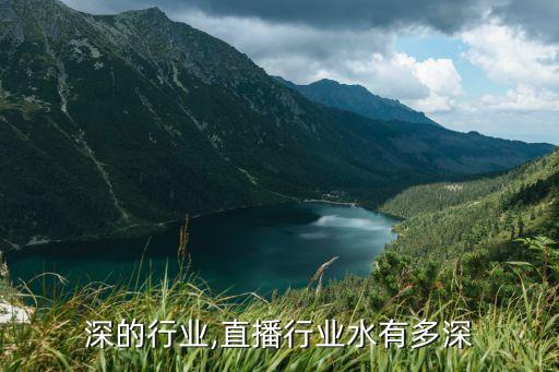 水很深的行业,直播行业水有多深