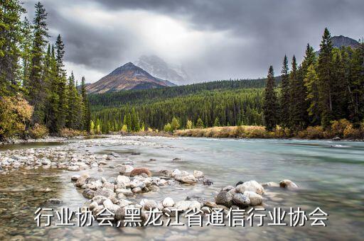 批发行业协会,黑龙江省通信行业协会