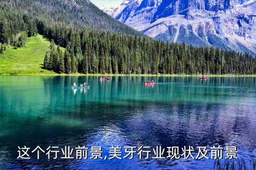 美缝这个行业前景,美牙行业现状及前景