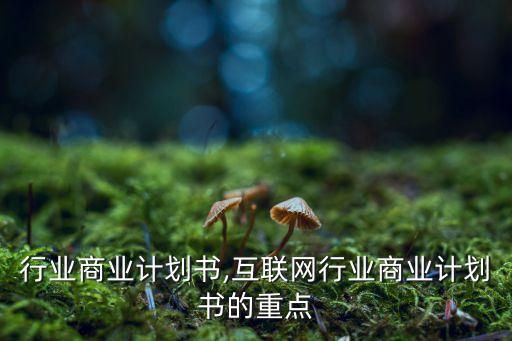 塑编行业商业计划书,互联网行业商业计划书的重点