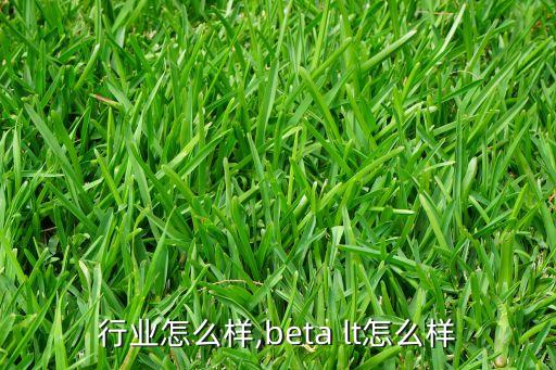 lt行业怎么样,beta lt怎么样