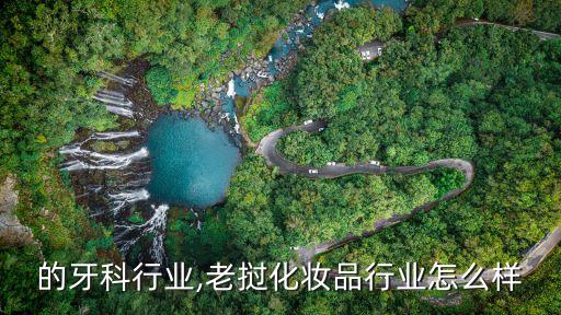 老挝的牙科行业,老挝化妆品行业怎么样