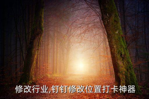钉钉 修改行业,钉钉修改位置打卡神器