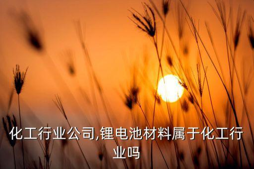 材料化工行业公司,锂电池材料属于化工行业吗
