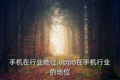 魅族手机在行业地位,oppo在手机行业的地位