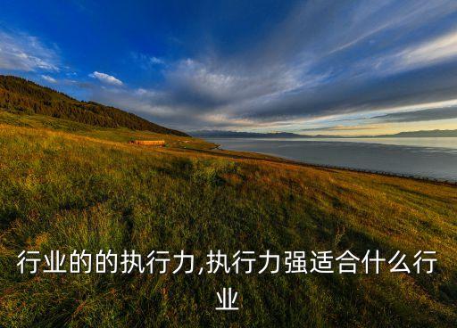 母婴行业的的执行力,执行力强适合什么行业