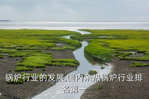 余热锅炉行业的发展,国内余热锅炉行业排名第一