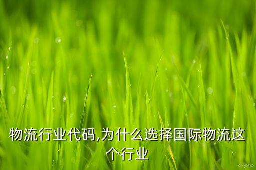 国际物流行业代码,为什么选择国际物流这个行业
