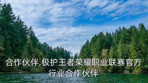 行业合作伙伴,极护王者荣耀职业联赛官方行业合作伙伴