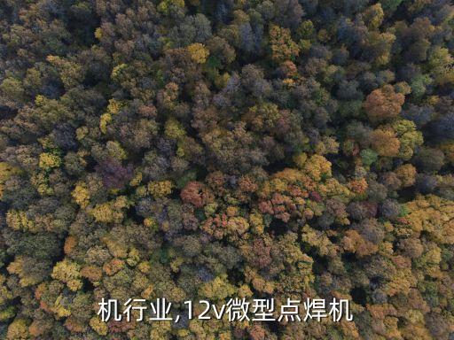 点焊机行业,12v微型点焊机