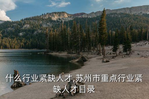 深圳什么行业紧缺人才,苏州市重点行业紧缺人才目录