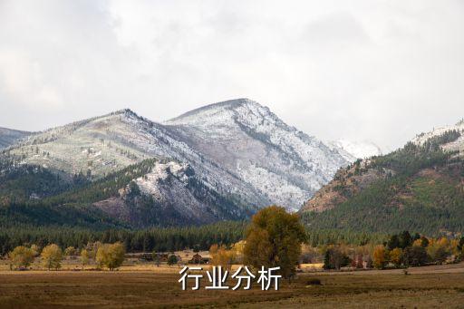 华帝行业分析