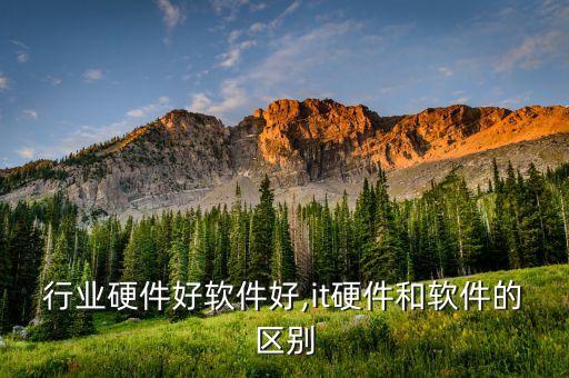 it行业硬件好软件好,it硬件和软件的区别