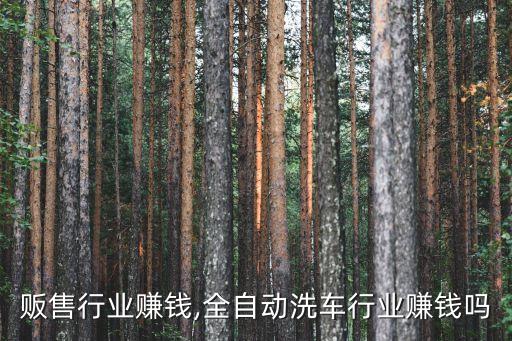 自动贩售行业赚钱,全自动洗车行业赚钱吗