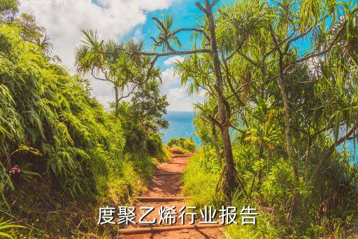 高密度聚乙烯行业报告