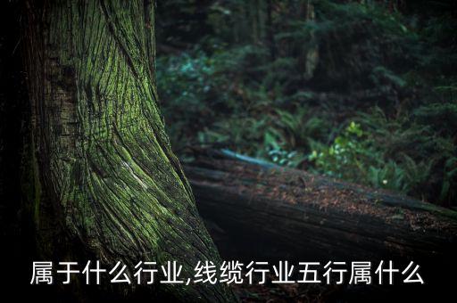 线缆属于什么行业,线缆行业五行属什么