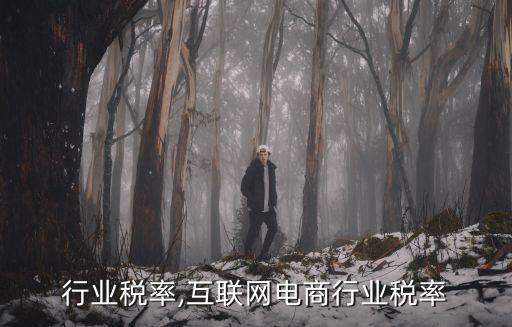 电商行业税率,互联网电商行业税率