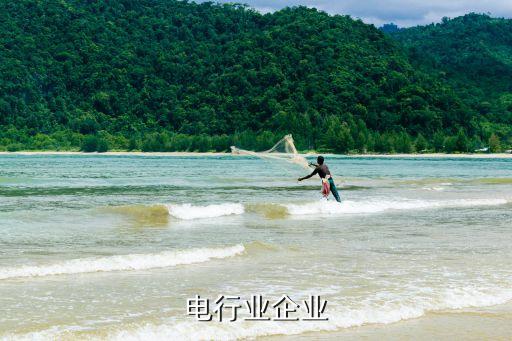 输配电行业企业