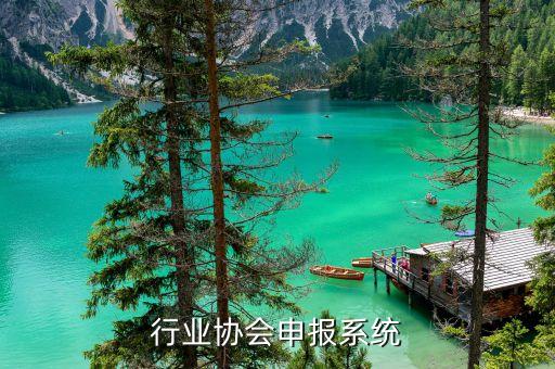 软件行业协会申报系统