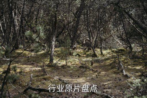 玻璃行业原片盘点