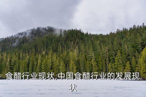 酱油食醋行业现状,中国食醋行业的发展现状