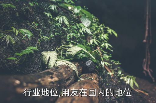 用友行业地位,用友在国内的地位