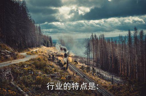 赊销行业的特点是: