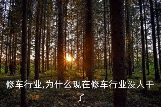 香港修车行业,为什么现在修车行业没人干了