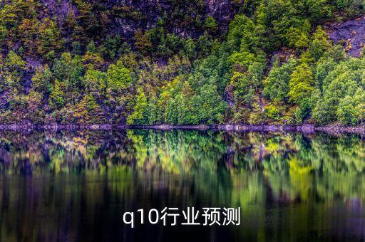 辅酶q10行业预测