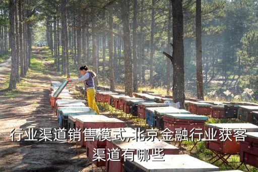 金融行业渠道销售模式,北京金融行业获客渠道有哪些